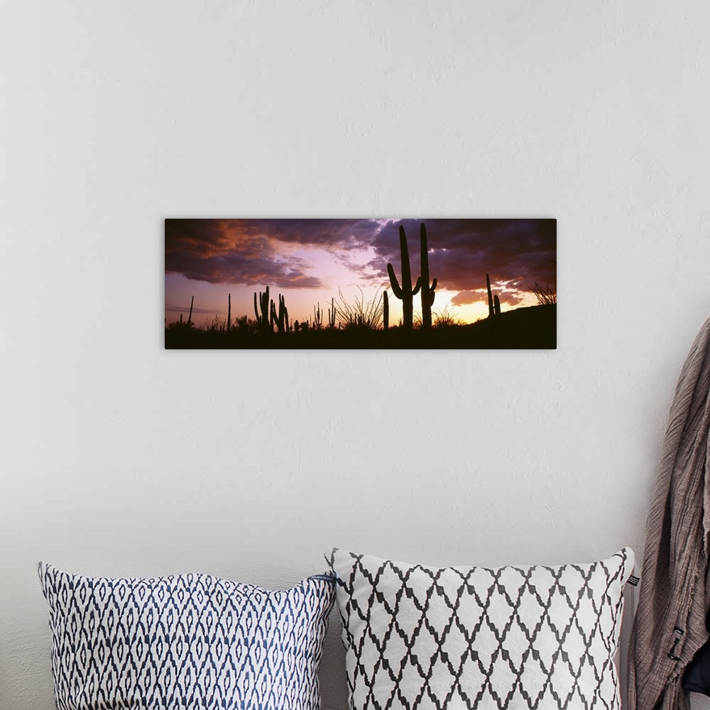A bohemian room featuring Long horizontal canvas of the silhouettes of cactuses against a sunset with layered clouds.