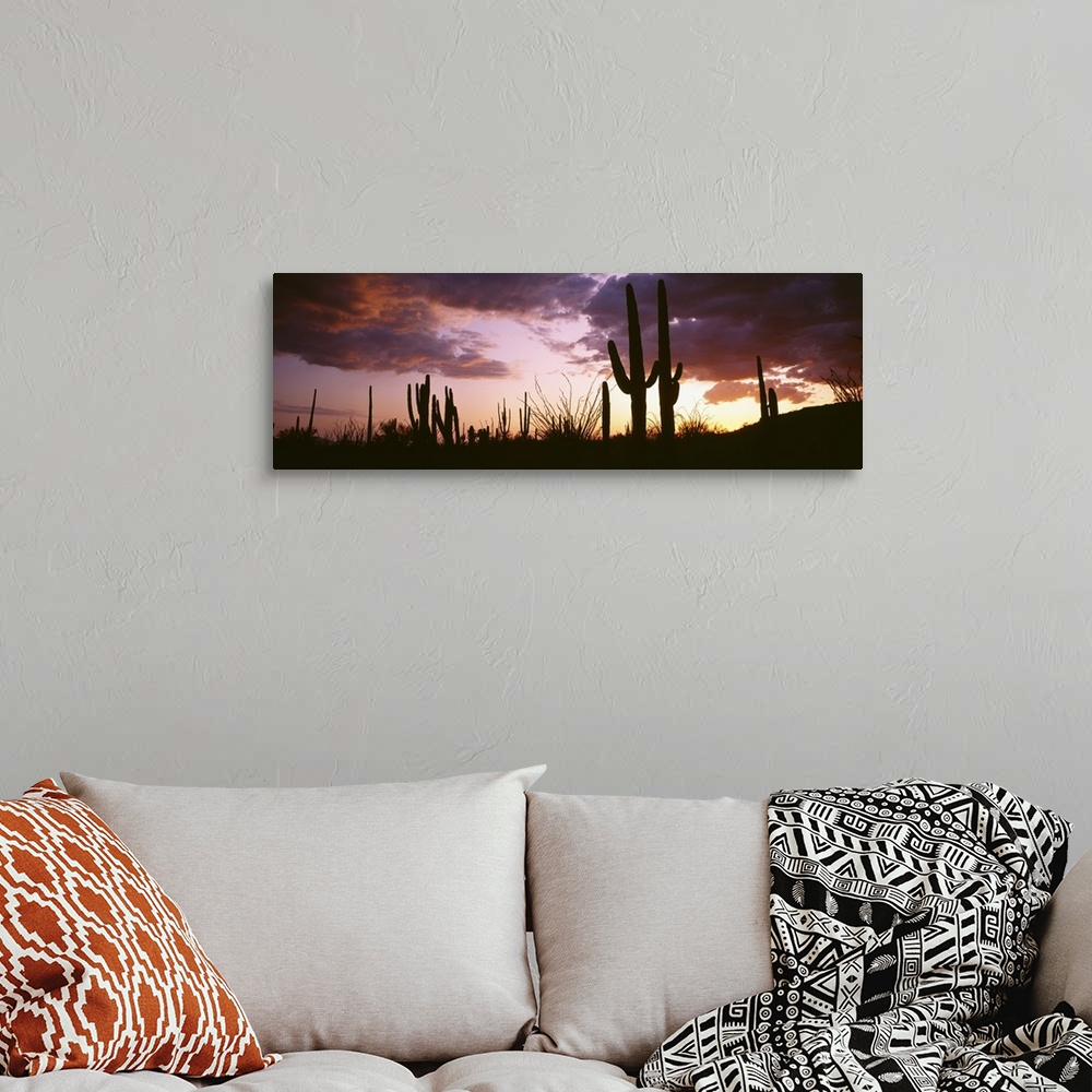 A bohemian room featuring Long horizontal canvas of the silhouettes of cactuses against a sunset with layered clouds.