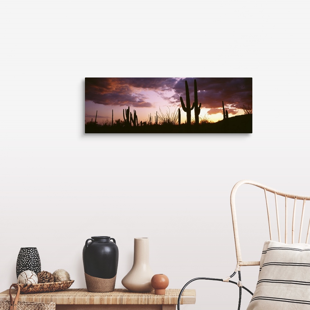 A farmhouse room featuring Long horizontal canvas of the silhouettes of cactuses against a sunset with layered clouds.
