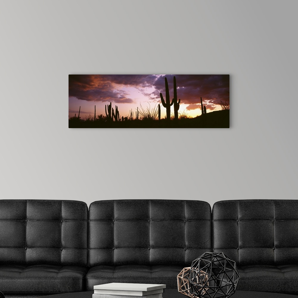 A modern room featuring Long horizontal canvas of the silhouettes of cactuses against a sunset with layered clouds.