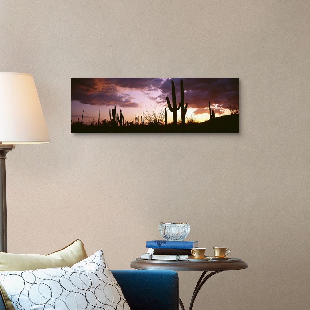 A traditional room featuring Long horizontal canvas of the silhouettes of cactuses against a sunset with layered clouds.