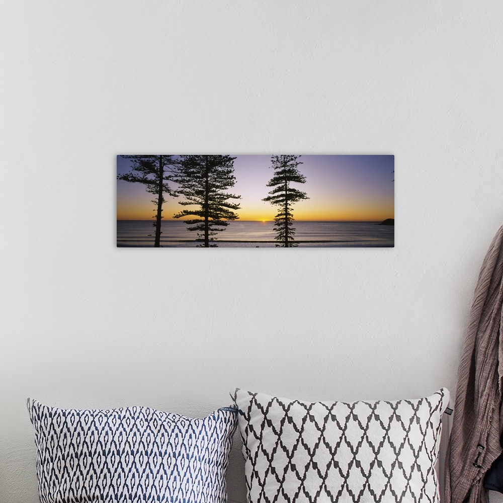 A bohemian room featuring Panoramic canvas of the silhouette of trees against a sunrise on the water.