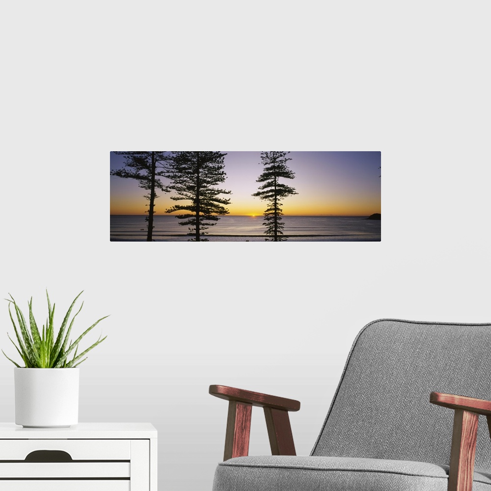 A modern room featuring Panoramic canvas of the silhouette of trees against a sunrise on the water.