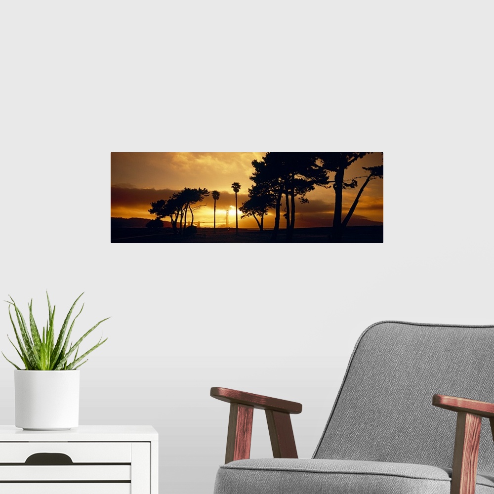 A modern room featuring Silhouette of trees at sunset, Golden Gate Bridge, San Francisco, California