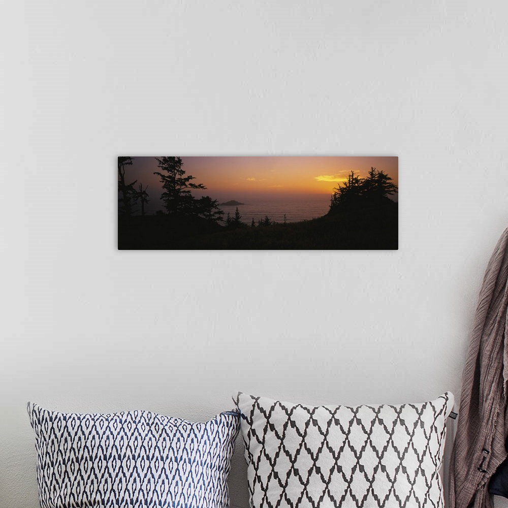 A bohemian room featuring Silhouette of trees at sunset, Pacific Ocean, Boardman State Park, Oregon