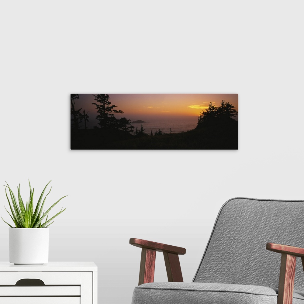 A modern room featuring Silhouette of trees at sunset, Pacific Ocean, Boardman State Park, Oregon