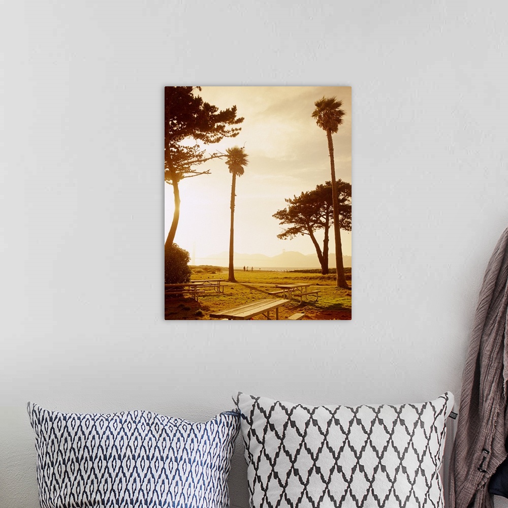 A bohemian room featuring Silhouette of trees at sunset, San Francisco, California