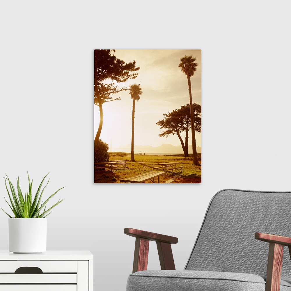 A modern room featuring Silhouette of trees at sunset, San Francisco, California