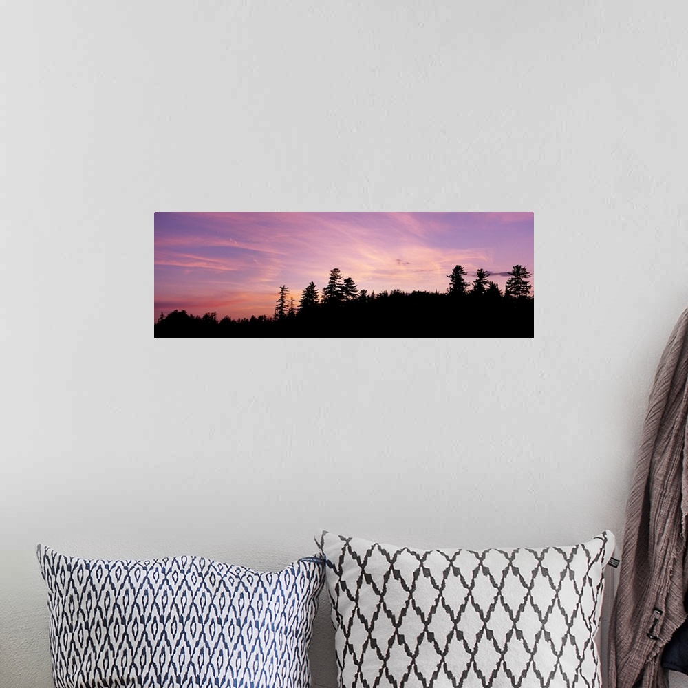 A bohemian room featuring Silhouette of trees during sunset, Raquette Lake, Adirondack Mountains, New York State