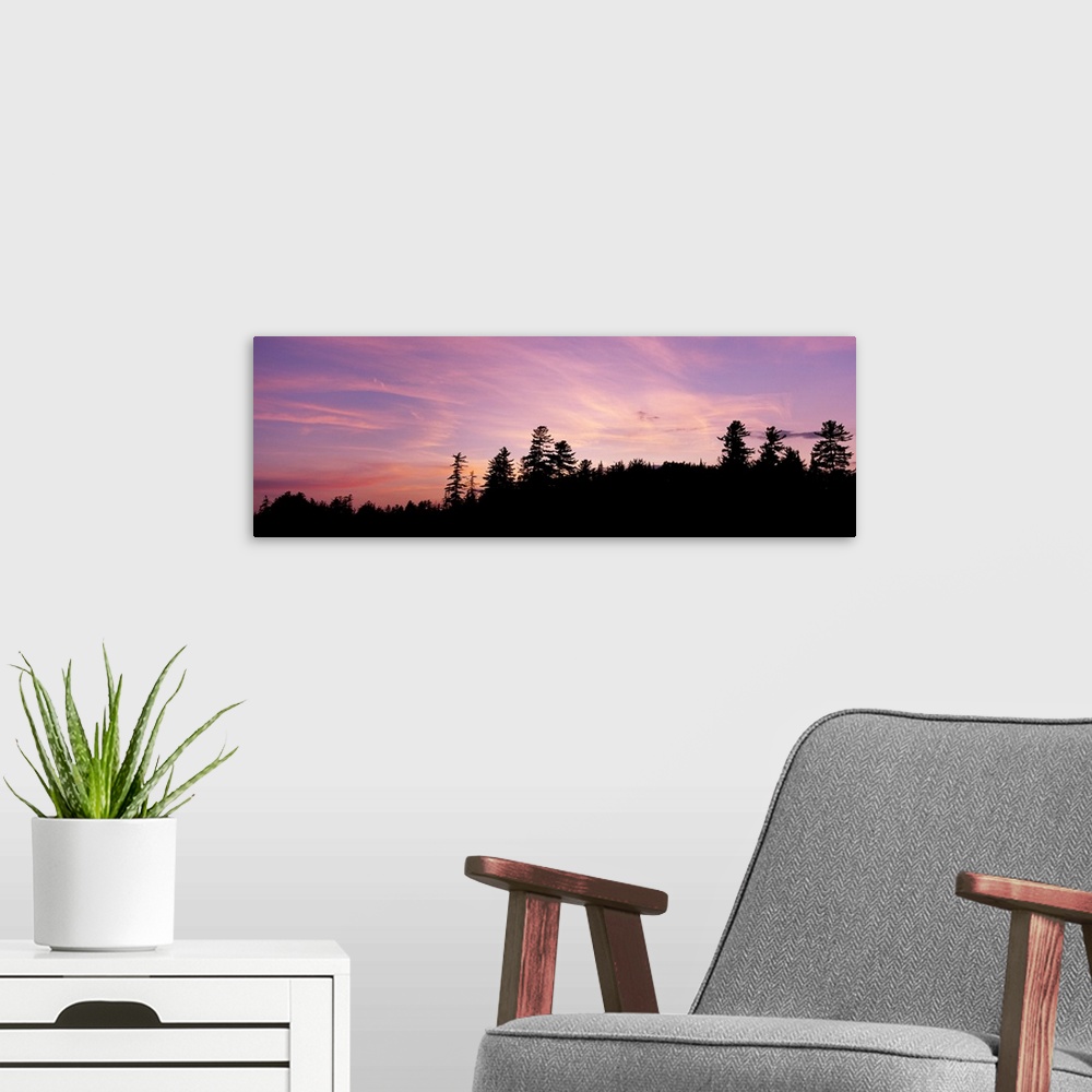 A modern room featuring Silhouette of trees during sunset, Raquette Lake, Adirondack Mountains, New York State