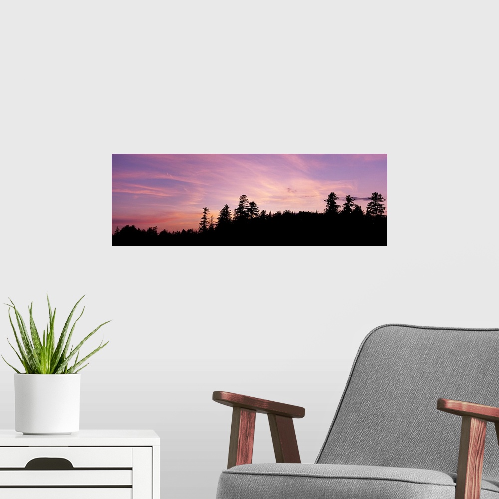 A modern room featuring Silhouette of trees during sunset, Raquette Lake, Adirondack Mountains, New York State