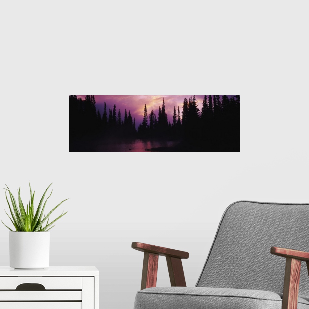 A modern room featuring Silhouette of trees in the forest, Washington State