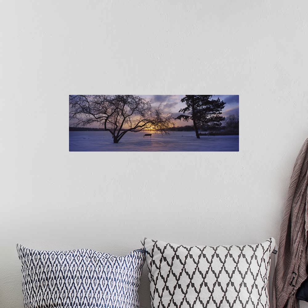 A bohemian room featuring Silhouette of trees near a frozen lake, Reeds Lake, Grand Rapids, Michigan