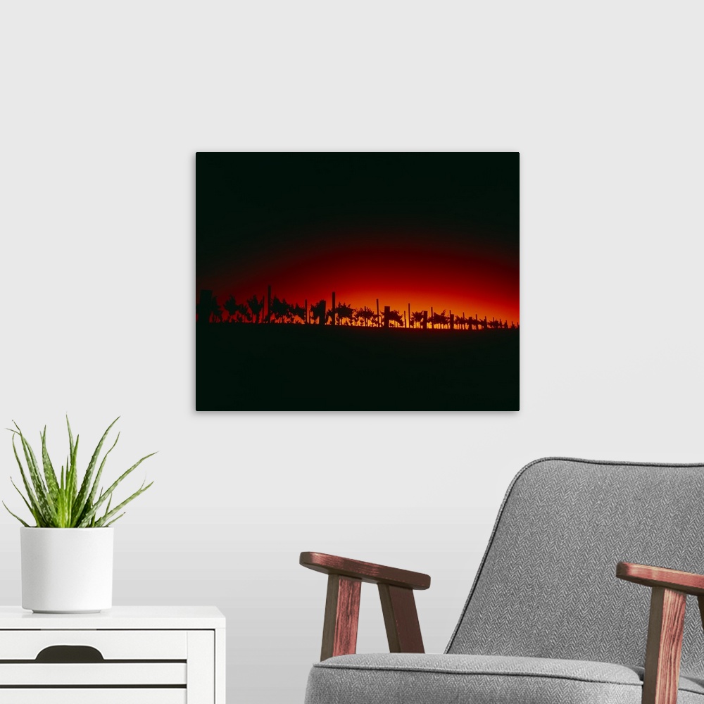 A modern room featuring Silhouette of vineyards at dusk, Santa Barbara County, California