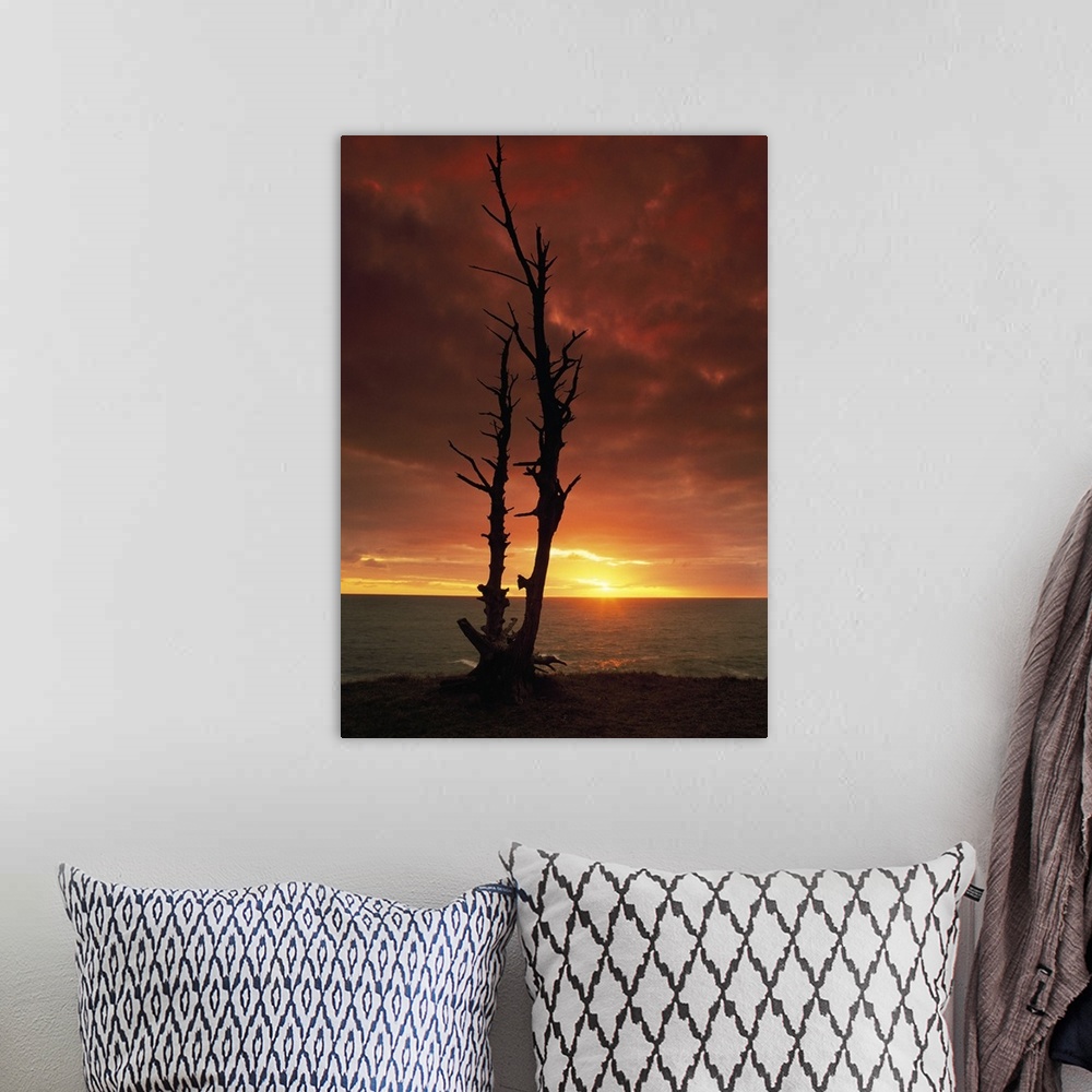 A bohemian room featuring Vertical canvas photo art of a silhouetted bare tree in front of a body of water at sunset.