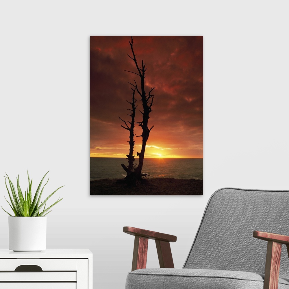 A modern room featuring Vertical canvas photo art of a silhouetted bare tree in front of a body of water at sunset.