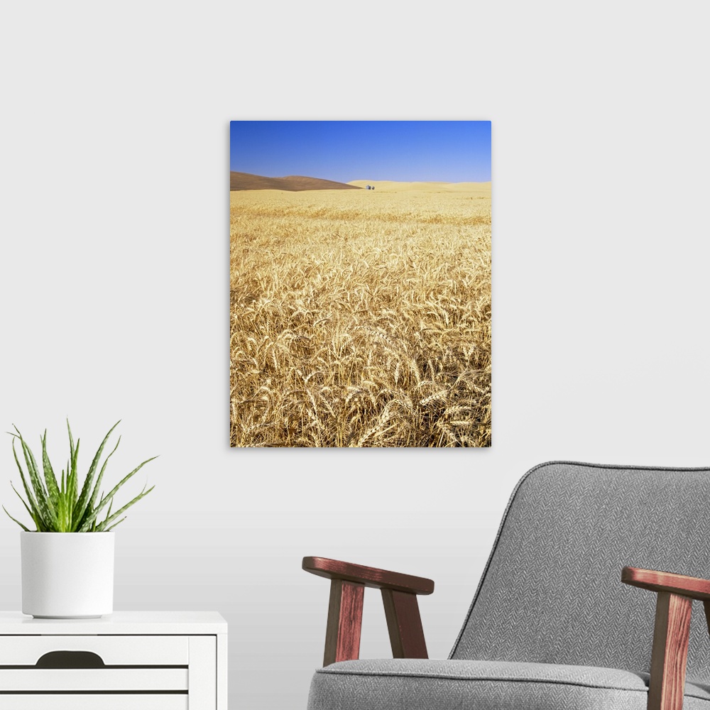 A modern room featuring Silo in a wheat field, Palouse Country, Washington State