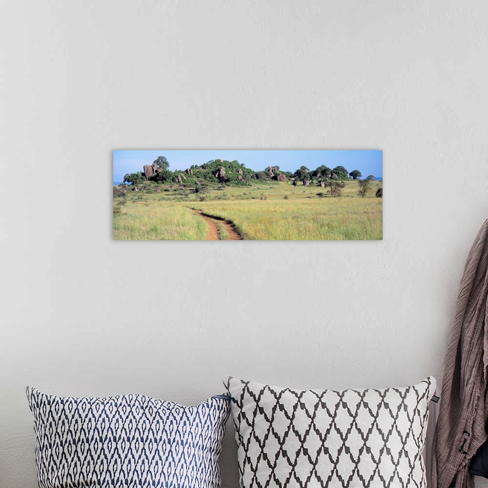A bohemian room featuring Simba Kopjes and Road Serengeti Tanzania Africa