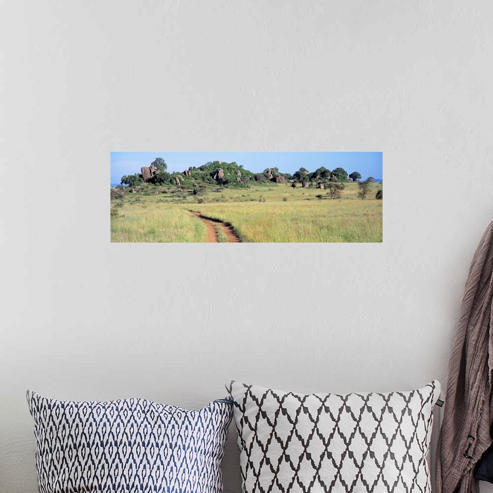 A bohemian room featuring Simba Kopjes and Road Serengeti Tanzania Africa