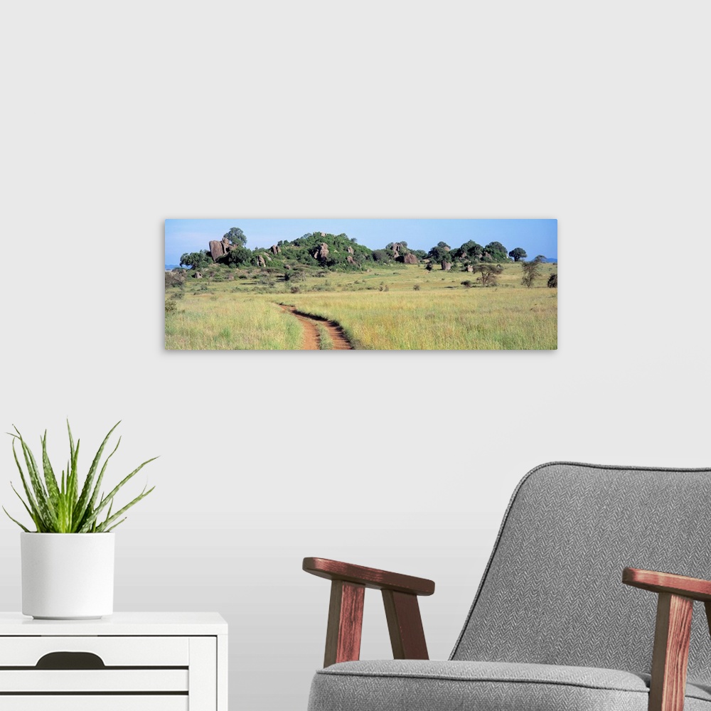 A modern room featuring Simba Kopjes and Road Serengeti Tanzania Africa