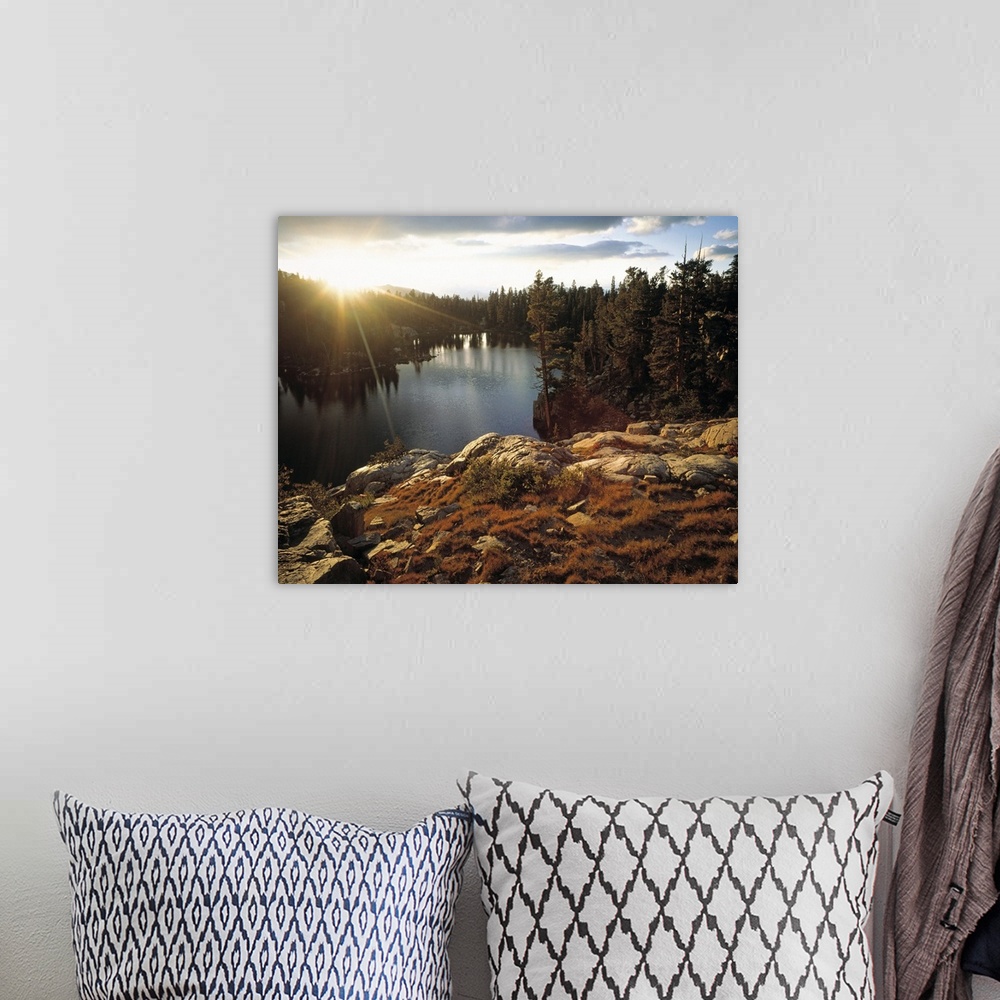 A bohemian room featuring This resplendent wall art is a landscape photograph of the sun rising over the tree line in this ...