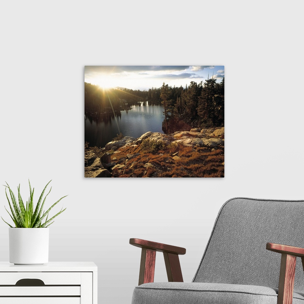 A modern room featuring This resplendent wall art is a landscape photograph of the sun rising over the tree line in this ...