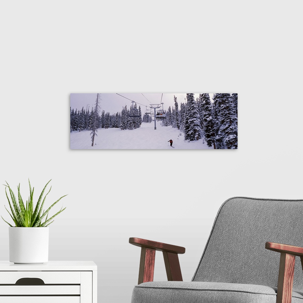 A modern room featuring Panoramic photograph on a giant canvas of a ski lift surrounded by snow covered trees, one skier ...
