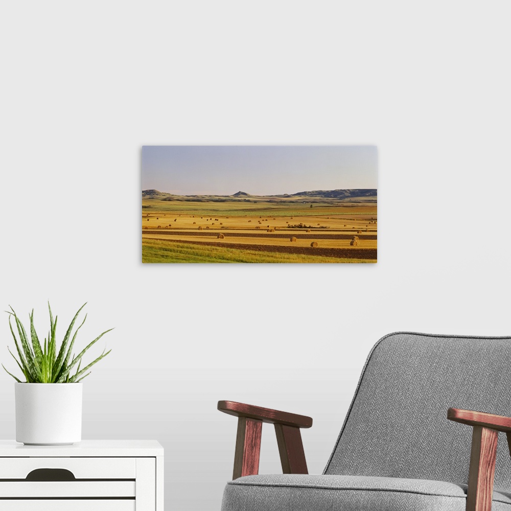 A modern room featuring Hay bills are scattered about and photographed in this vast open field.