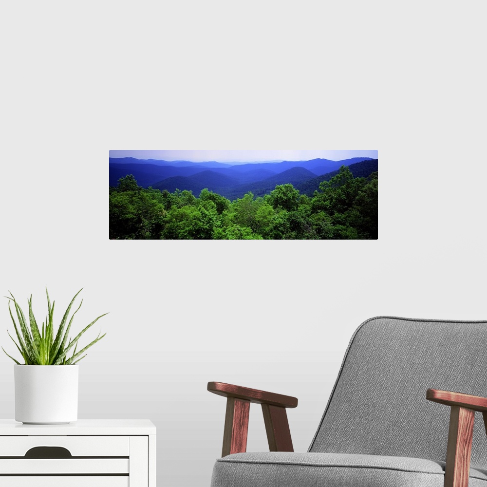 A modern room featuring Panoramic photograph on a large canvas looking over green treetops to a vast mountain range of th...