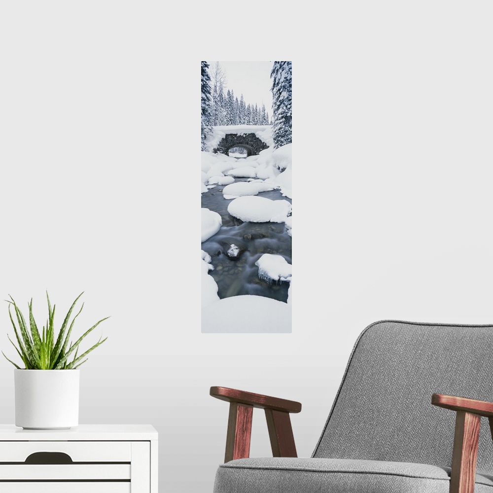 A modern room featuring Snow covered bridge over a river, Illecillewaet River, British Columbia Glacier National Park, Br...