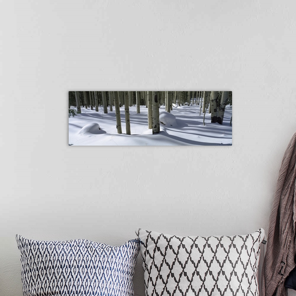 A bohemian room featuring Snow covered landscape, Flagstaff, Coconino County, Arizona