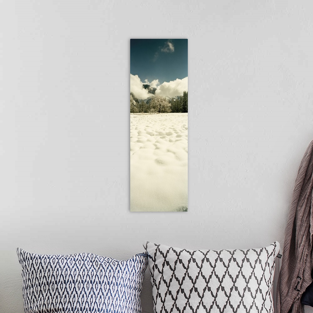 A bohemian room featuring Snow covered landscape, Yosemite Valley, Yosemite National Park, Mariposa County, California