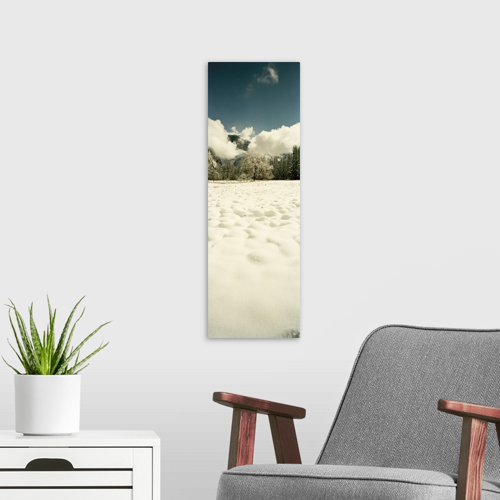 A modern room featuring Snow covered landscape, Yosemite Valley, Yosemite National Park, Mariposa County, California