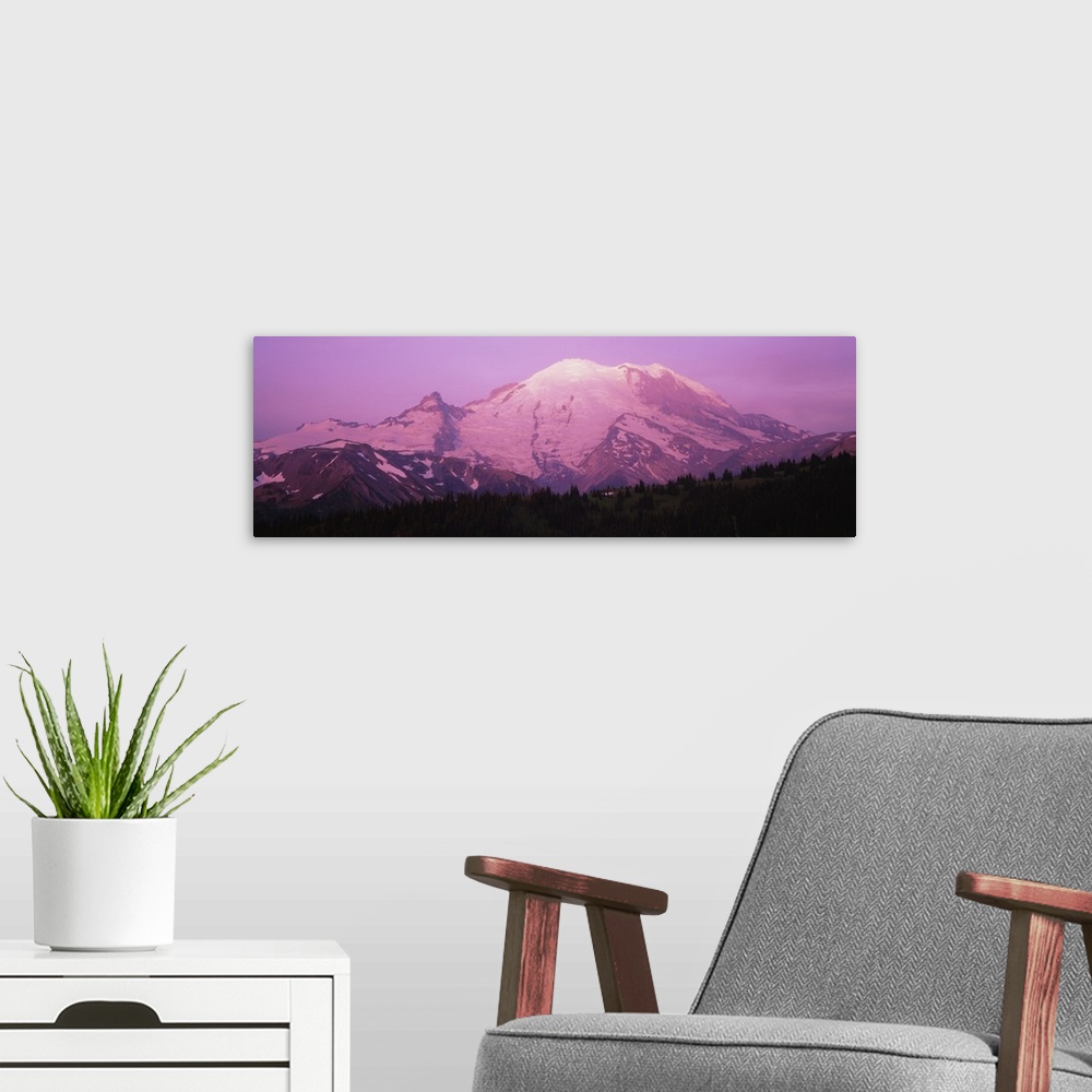 A modern room featuring Snow covered mountain at sunrise, Mt Rainier, Washington State