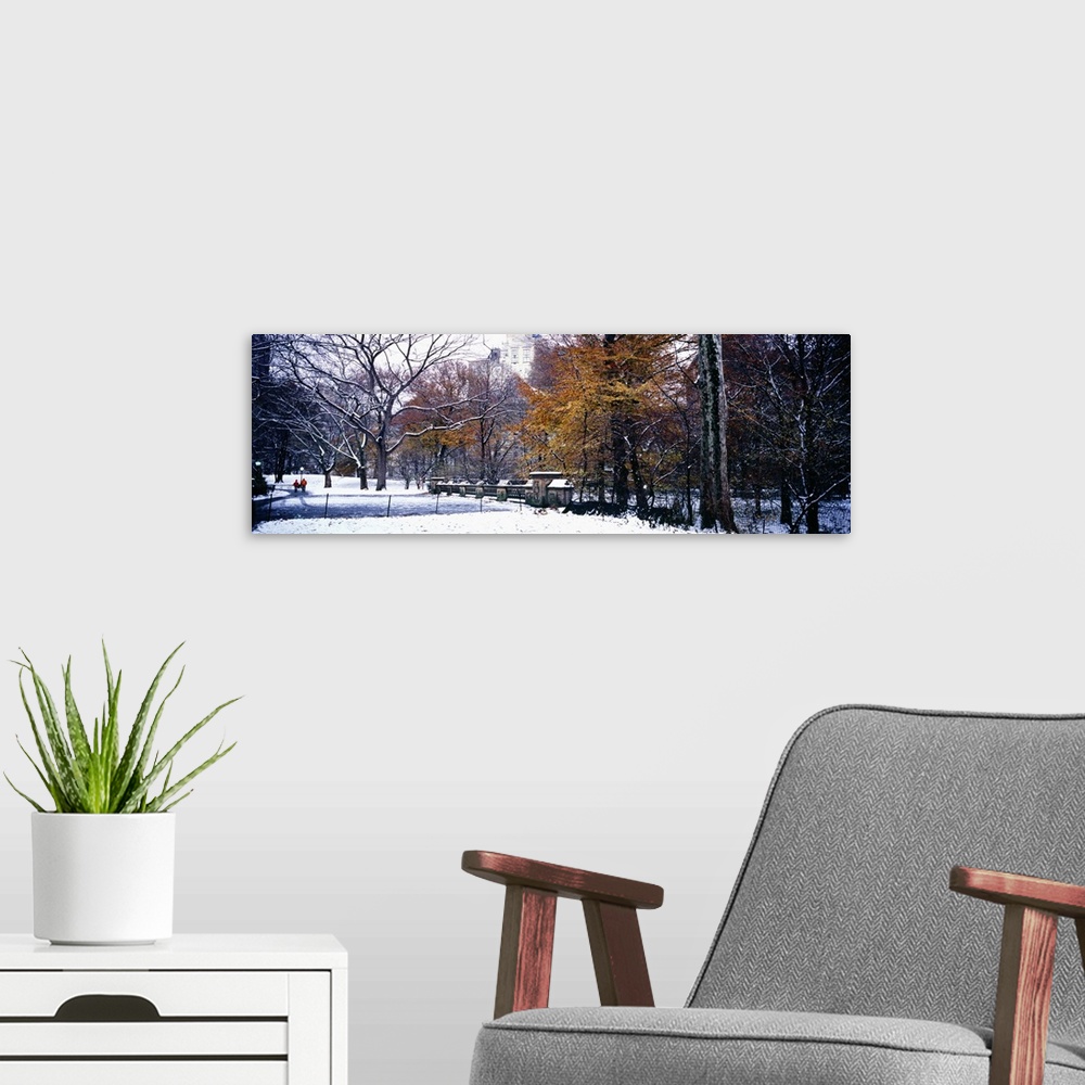 A modern room featuring Snow covered park in a city, Central Park, Manhattan, New York City, New York