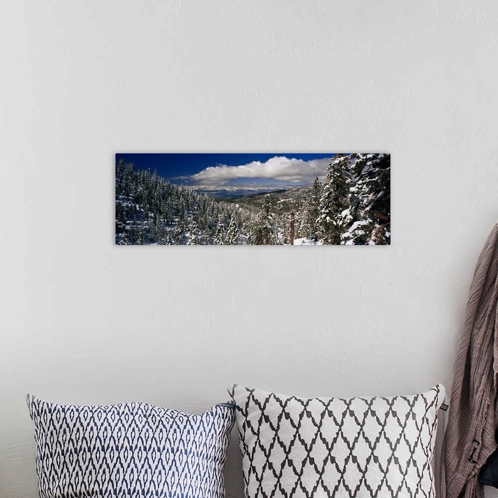 A bohemian room featuring Panoramic photograph of snowy forest under a cloudy sky.