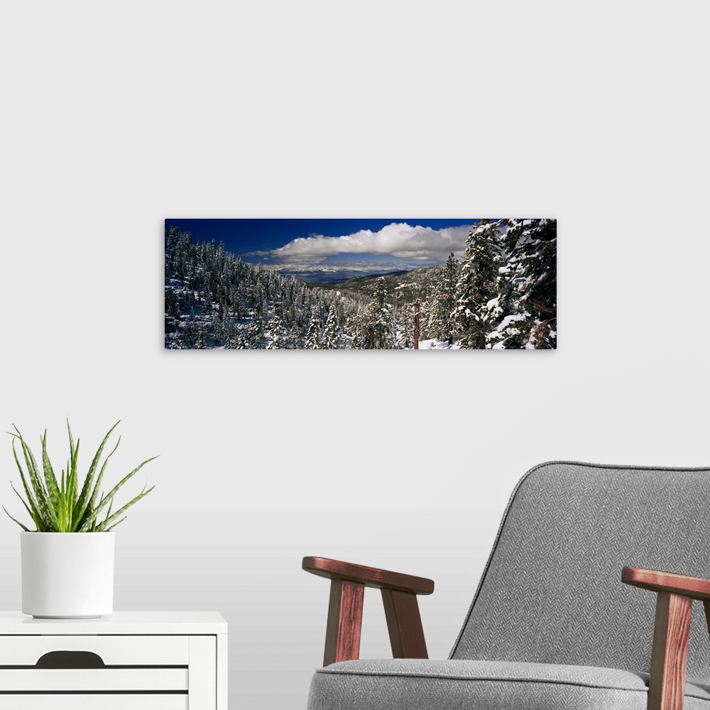 A modern room featuring Panoramic photograph of snowy forest under a cloudy sky.