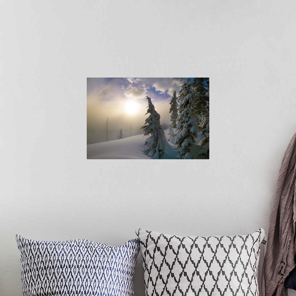 A bohemian room featuring Sun burning off the morning fog on a cold and snowy day with snow covered pine trees in the foreg...