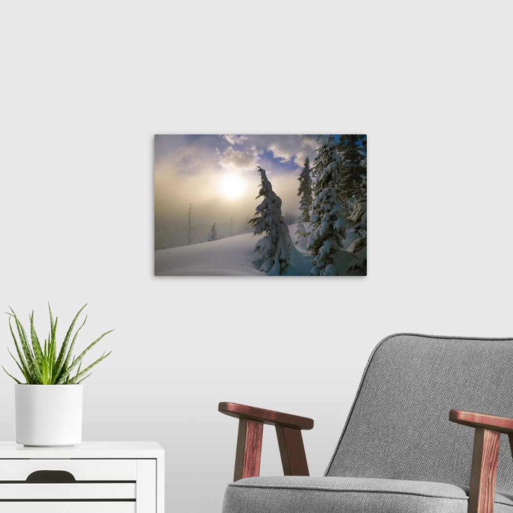 A modern room featuring Sun burning off the morning fog on a cold and snowy day with snow covered pine trees in the foreg...