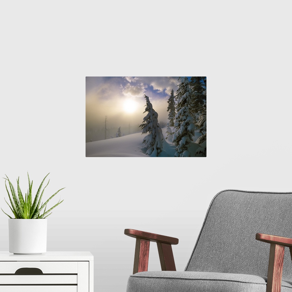 A modern room featuring Sun burning off the morning fog on a cold and snowy day with snow covered pine trees in the foreg...