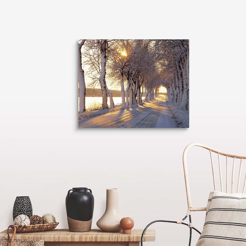A farmhouse room featuring Large photograph shows the sun trying to make its way through the tops of giant trees bare of the...