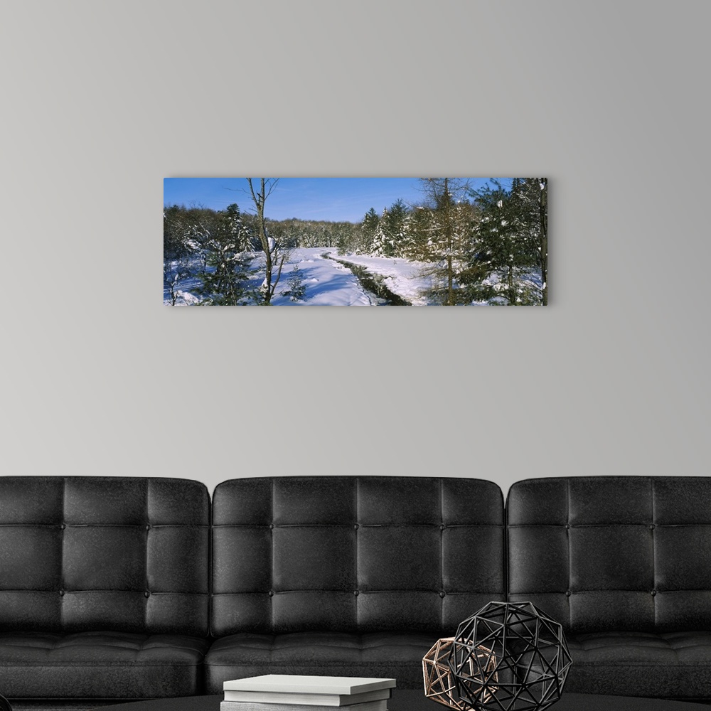 A modern room featuring Snow covered trees in a forest, near New York State Route 28, Old Forge, New York State