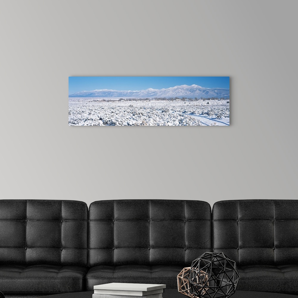 A modern room featuring Snow covered trees on a landscape with mountains in the background, Taos Mountain, New Mexico,