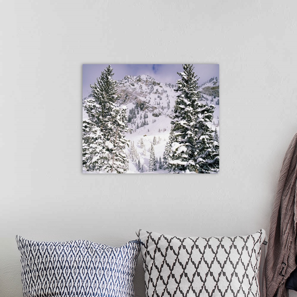 A bohemian room featuring Snow covered trees on a mountain, Utah