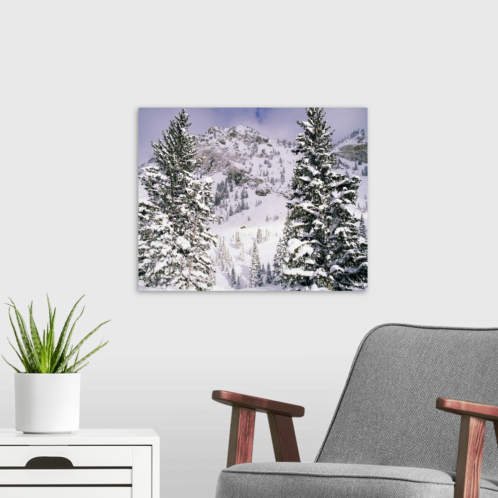 A modern room featuring Snow covered trees on a mountain, Utah