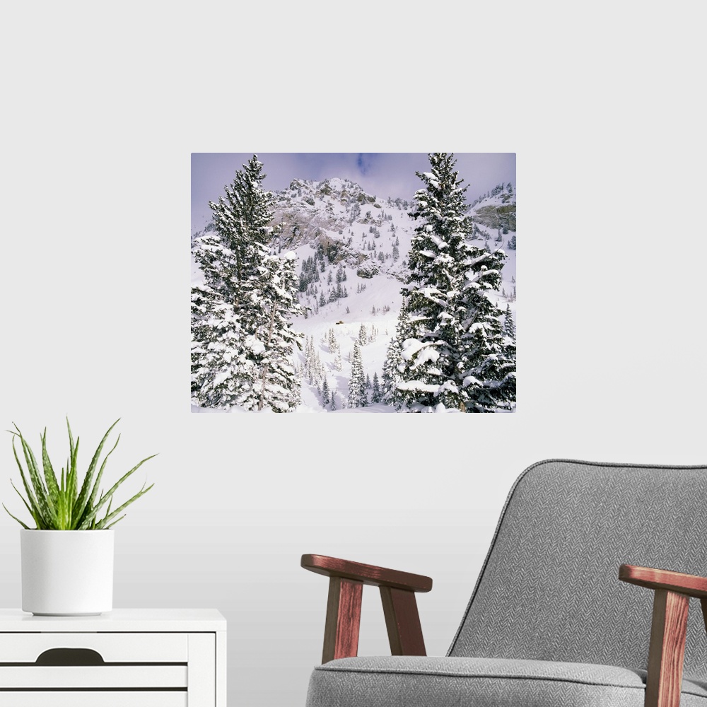 A modern room featuring Snow covered trees on a mountain, Utah