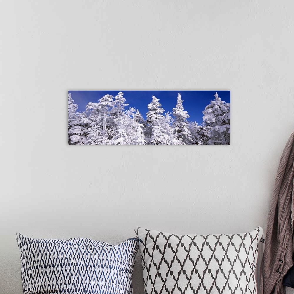 A bohemian room featuring Wide angle photograph on a large wall hanging of tall snow covered pine trees against a deep blue...