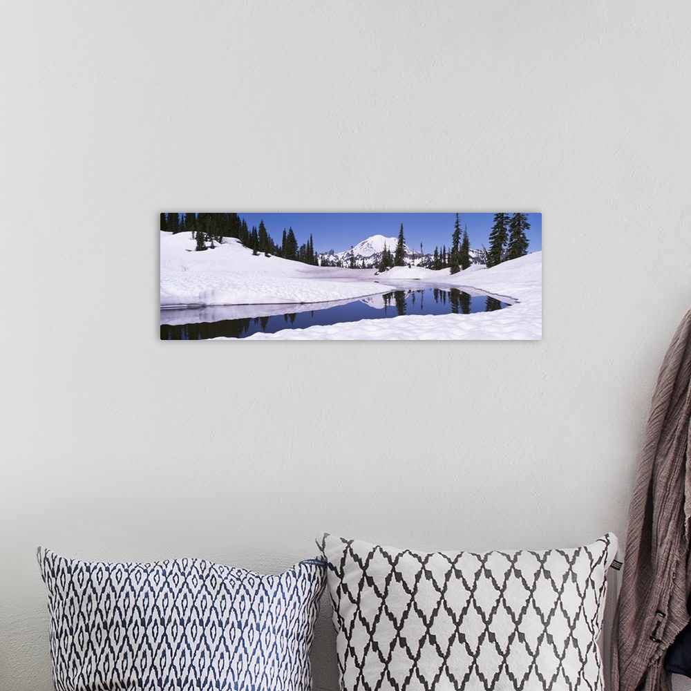 A bohemian room featuring Snow on a landscape, Mt Rainier, Mt Rainier National Park, Washington State