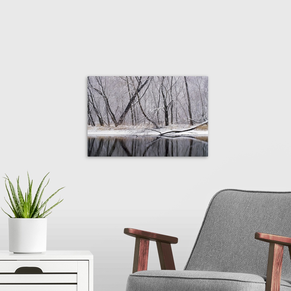 A modern room featuring Landscape, large wall picture of snow covered trees in a dense forest, reflecting on calm waters ...