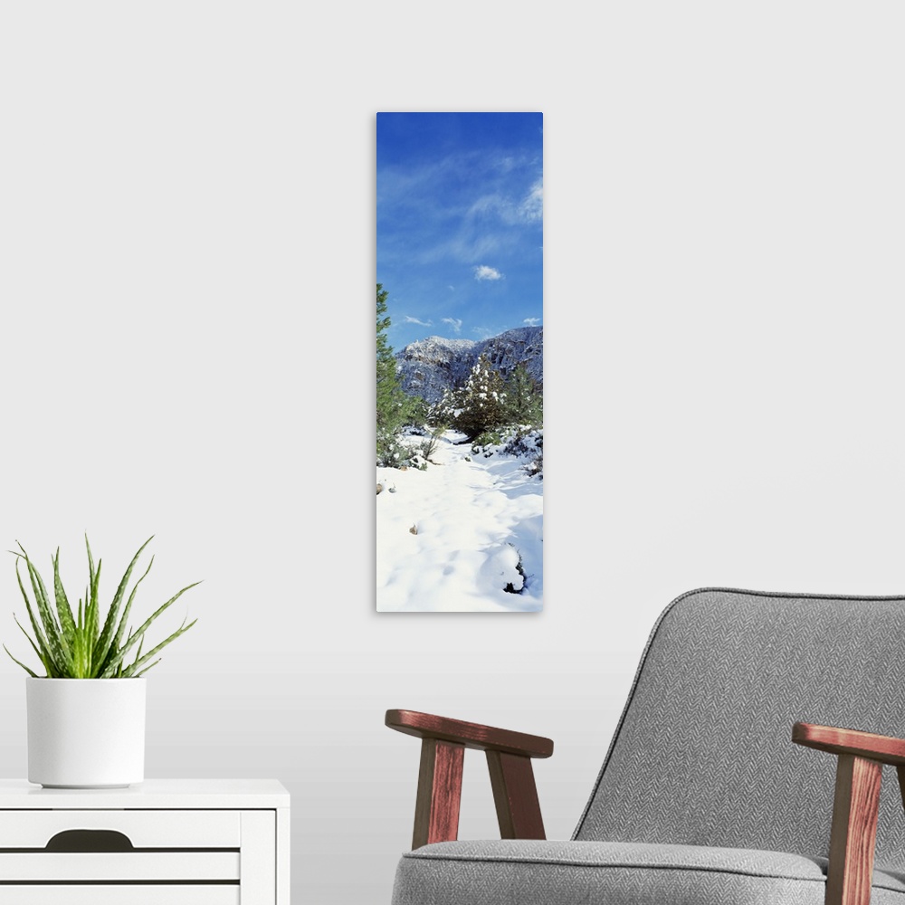 A modern room featuring Snow Sedona Area AZ